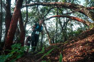 BIB: 
                            <button type="button" onclick="openModal(26344309)" class="btn btn-primary btn-sm float-right btn-popup" data-toggle="modal" data-target=".modal-high-quality">
                        <i class="fas fa-shopping-cart"></i> Add to Cart
                    </button>
                                            <button type="button" onclick="isThisMe(26344309, true)" class="btn btn-success btn-sm float-right btn-popup btn-isme hidden" data-toggle="tooltip" data-placement="bottom" title="นี่คือรูปของคุณใช่ไหม คลิกที่นี่เพื่อเอาเข้าอัลบั้ม">
                        <i class="fas fa-plus"></i> Add to album
                    </button>
                    <button type="button" onclick="isThisMe(26344309, false)" class="btn btn-warning btn-sm float-right btn-popup btn-isnotme hidden">
                        <i class="fas fa-ban"></i> Remove from album
                    </button>